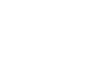 amazon literary partnership 3_2
